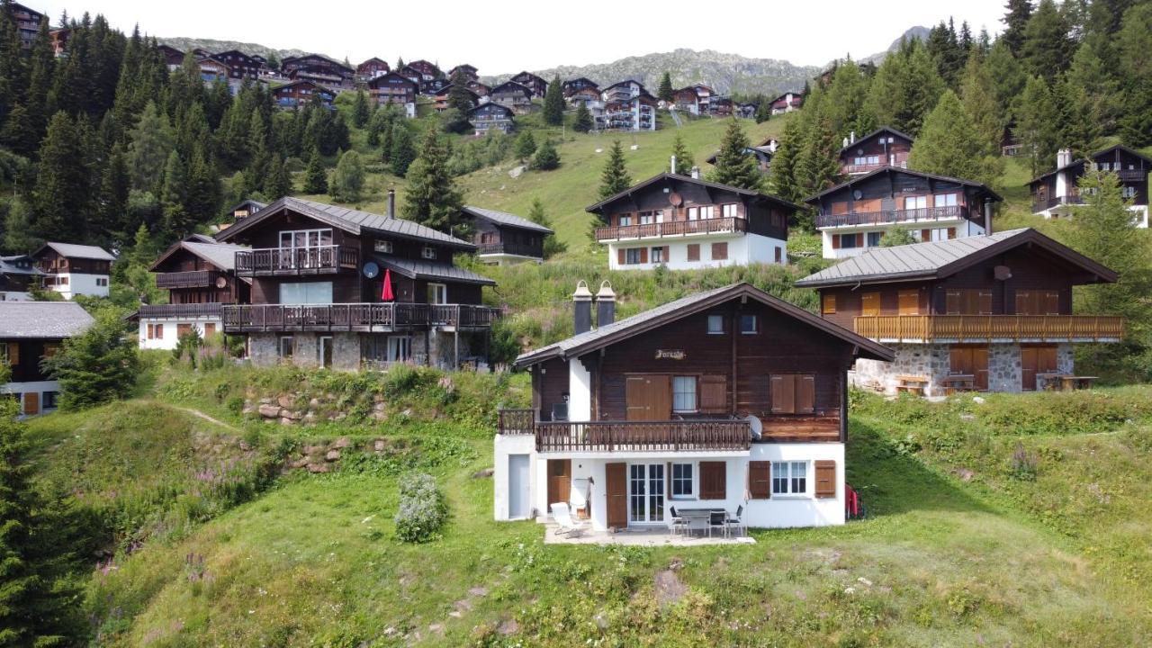Chalet Foresta 贝特默阿尔卑 外观 照片