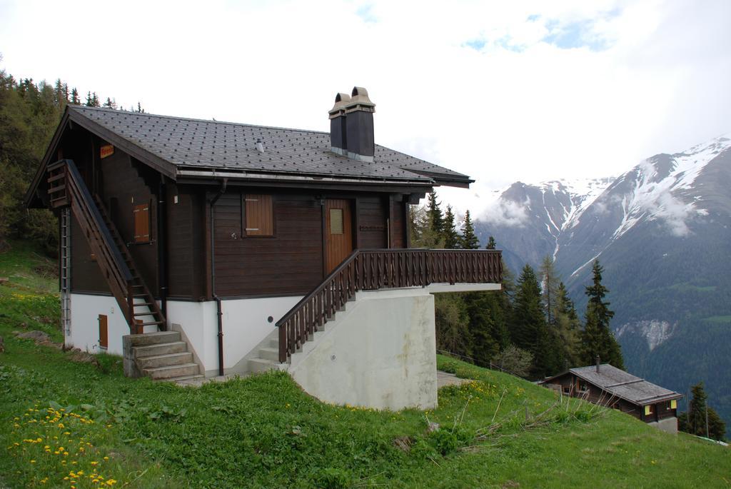 Chalet Foresta 贝特默阿尔卑 外观 照片