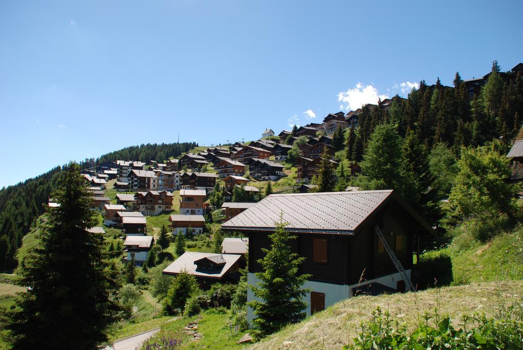 Chalet Foresta 贝特默阿尔卑 外观 照片